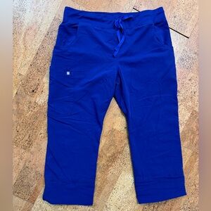 FIGS Deep Royal Scrub Pant